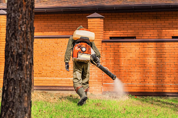 Trusted Termite Control service in Aptos Hills-Larkin Valley, CA - Nex Pest Control